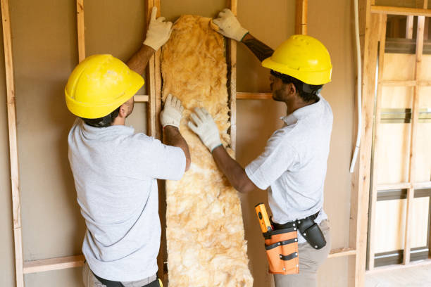Best Professional Insulation Contractor  in Tracy City, TN