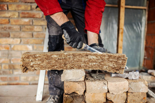 Best Best Insulation Companies  in Tracy City, TN